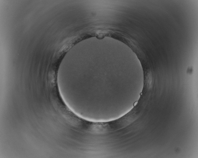 X0000112910571200910051046