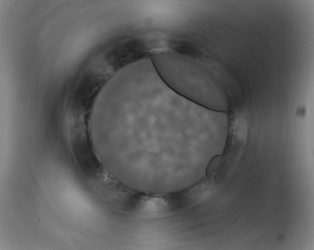 X0000112910572200910051046