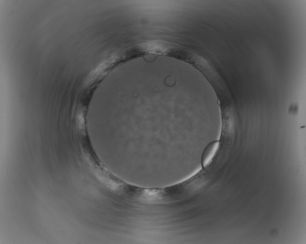 X0000112910573200910051046