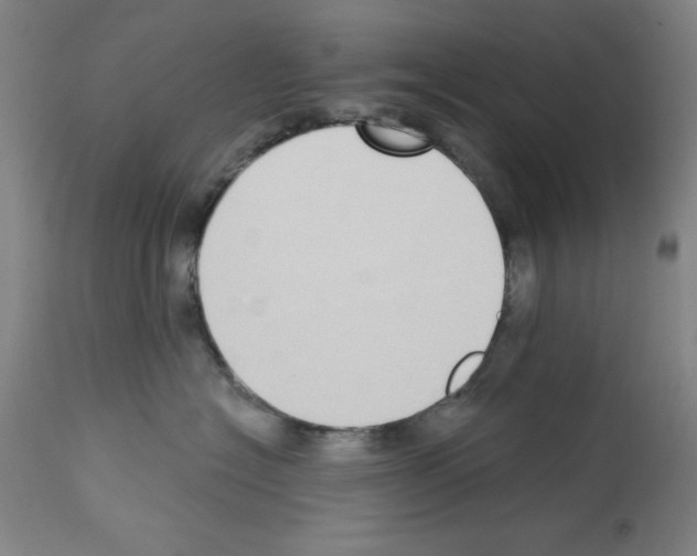 X0000112910574200910051046