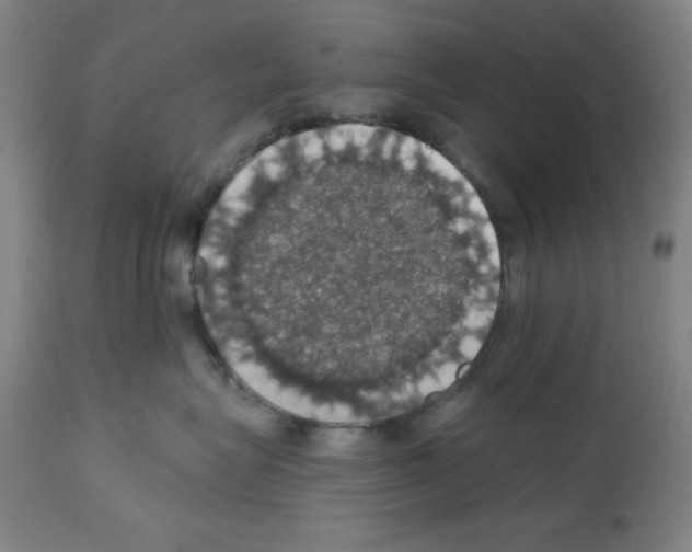 X0000112910575200910051046