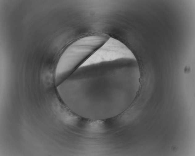 X0000112910576200910051046