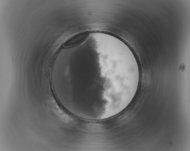 X0000112910577200910051045