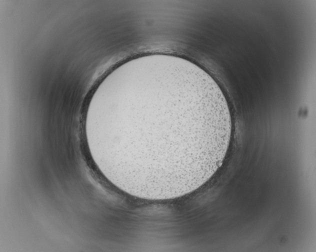 X0000112910578200910051045