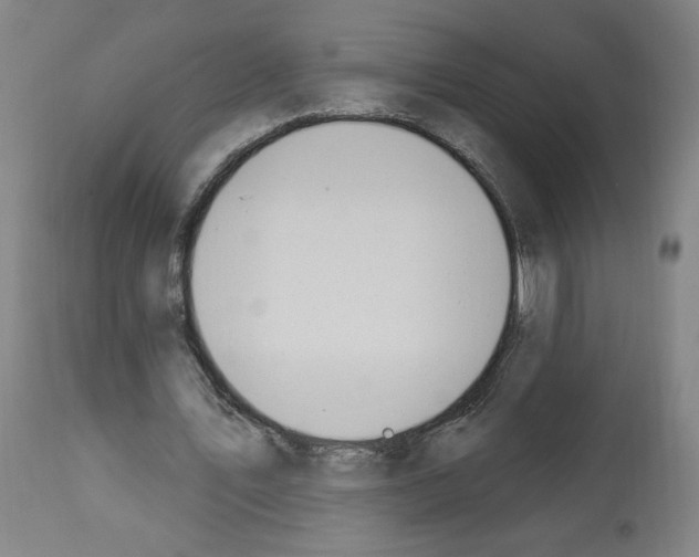 X0000112910579200910051045