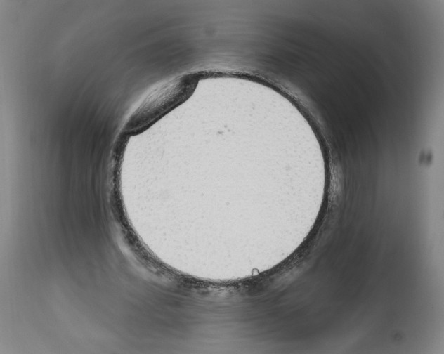 X0000112910580200910051045