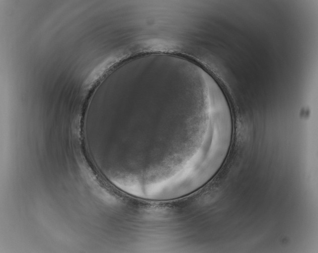 X0000112910581200910051045