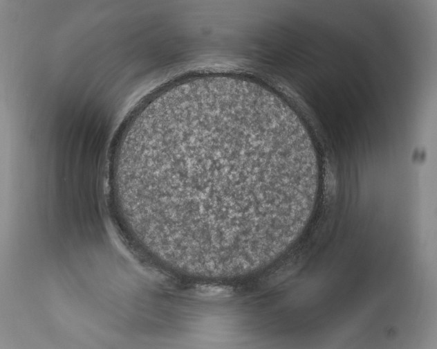X0000112910582200910051045