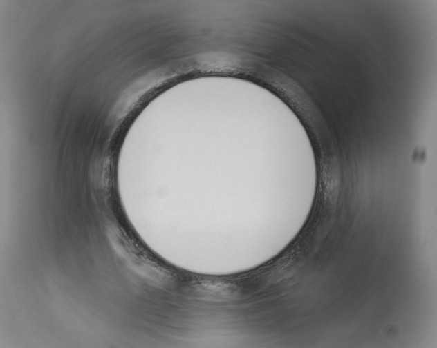 X0000112910583200910051045