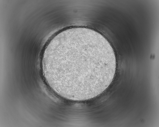 X0000112910584200910051045
