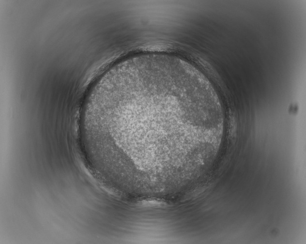 X0000112910586200910051045