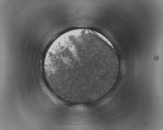 X0000112910589200910051045