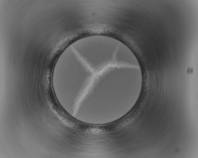 X0000112910590200910051045