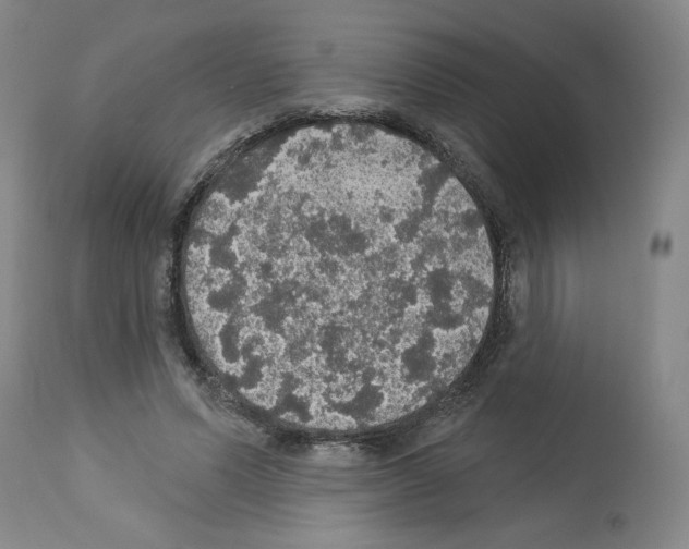 X0000112910591200910051045