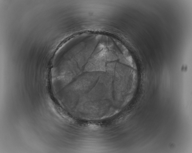 X0000112910592200910051044
