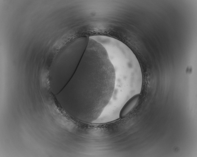 X0000112910593200910051044