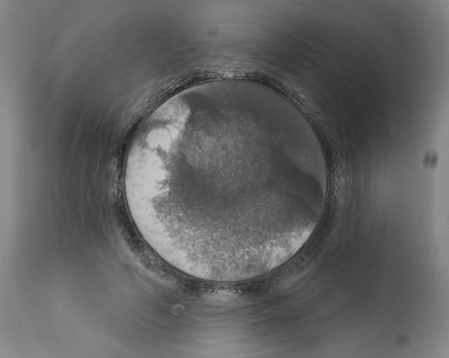 X0000112910594200910051044