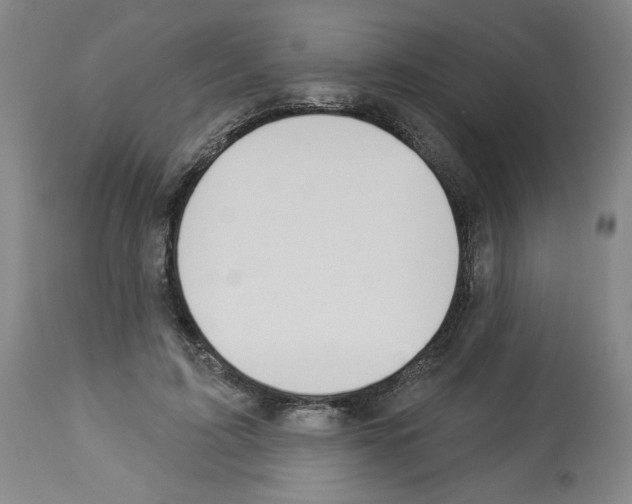 X0000112910595200910051044