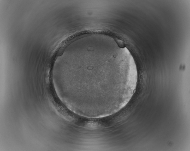 X0000112910596200910051044