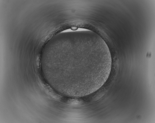 X0000112910597200910051044