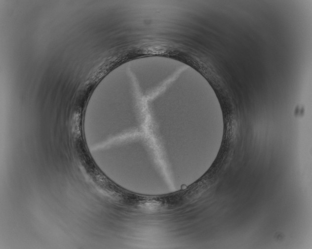 X0000112910598200910051044