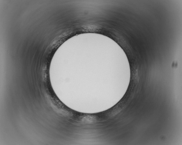 X0000112910599200910051044