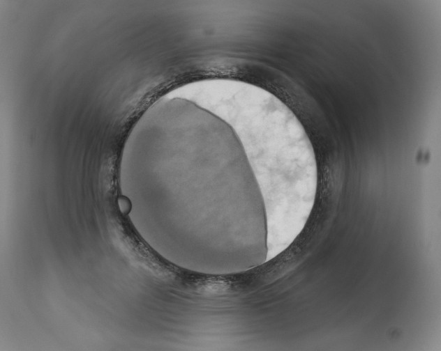X0000112910600200910051044