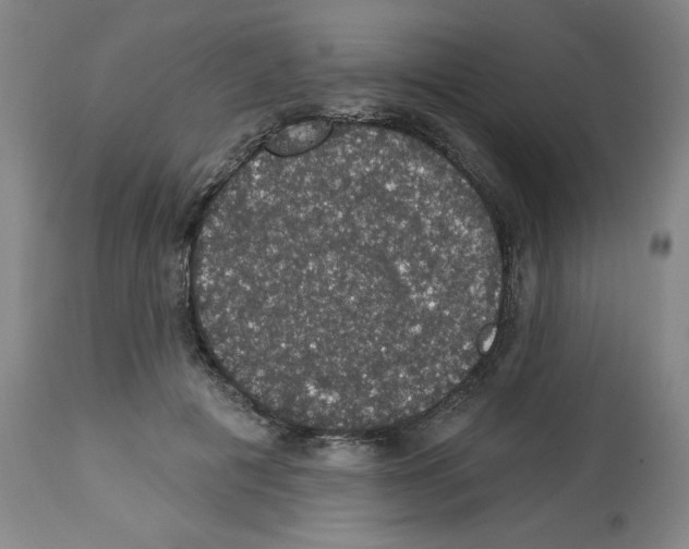 X0000112910601200910051044