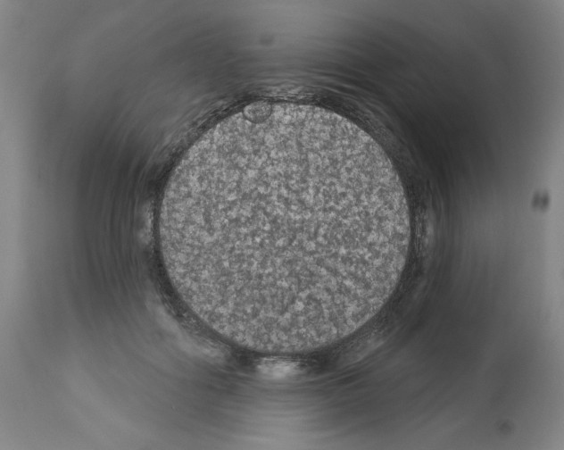 X0000112910602200910051044
