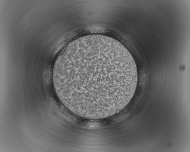 X0000112910604200910051044