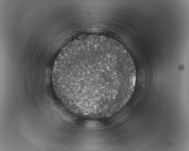 X0000112910605200910051044