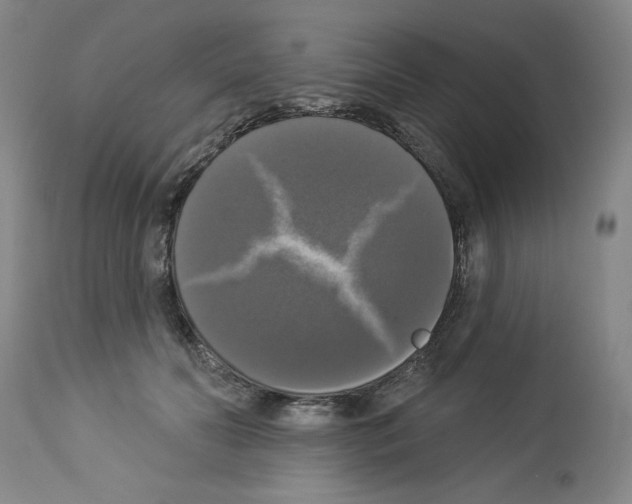 X0000112910606200910051044
