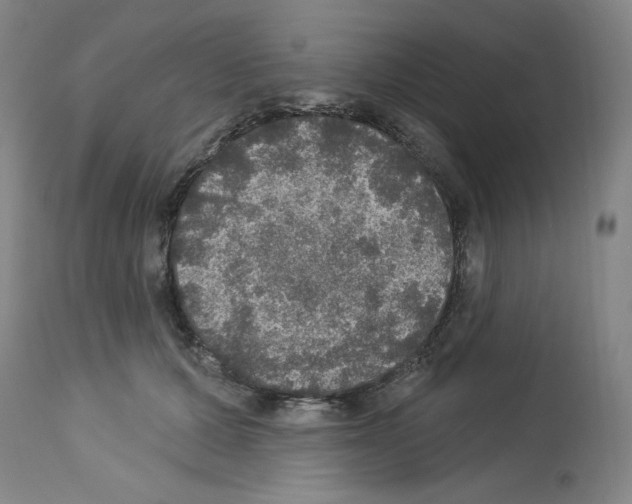 X0000112910607200910051044