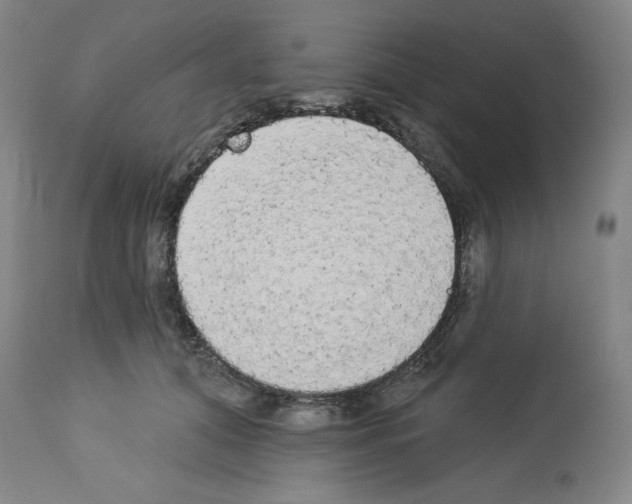 X0000112910608200910051044