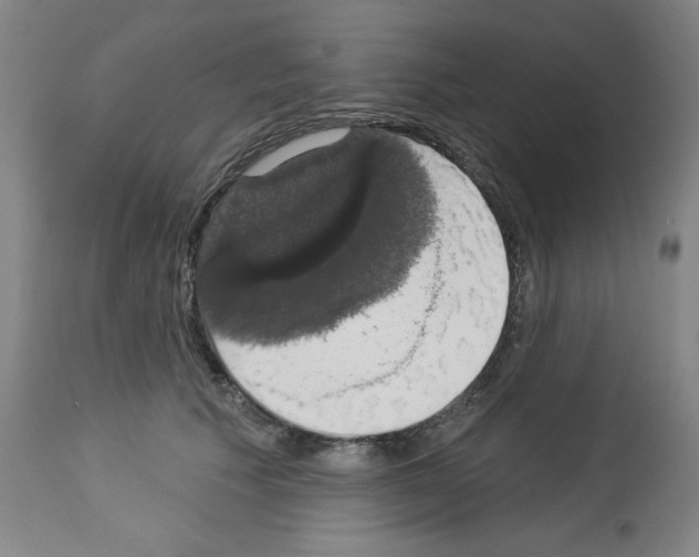 X0000112910609200910051044