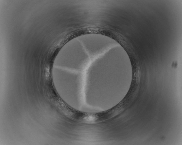 X0000112910610200910051044