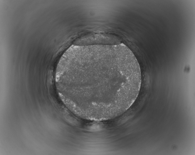 X0000112910612200910051044