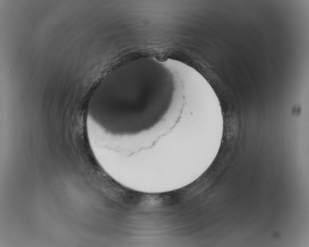 X0000112910613200910051044