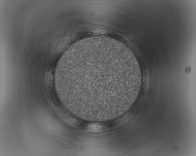 X0000112910614200910051044
