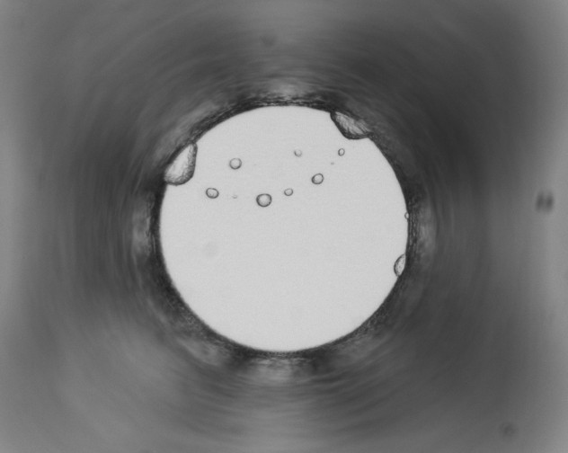 X0000112910615200910051044