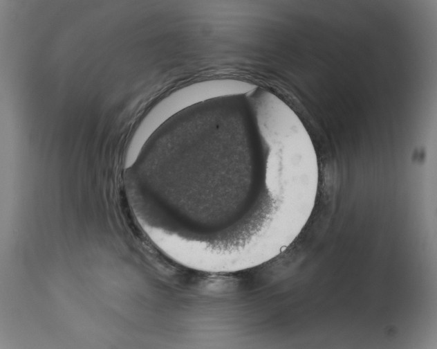 X0000112910617200910051044