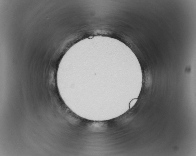 X0000112910619200910051044
