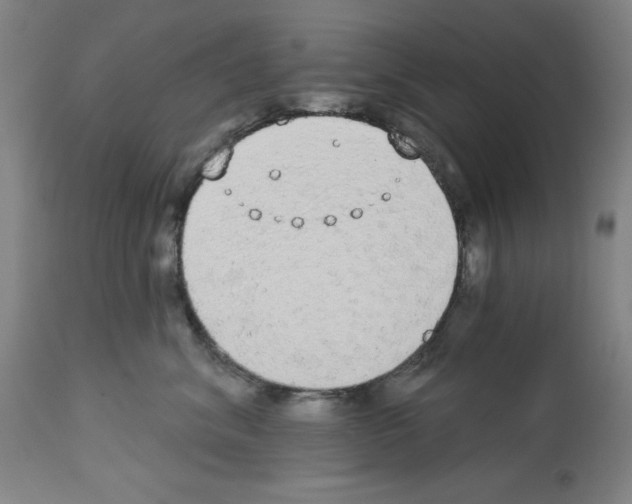 X0000112910620200910051044