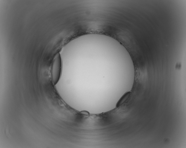 X0000112910621200910051044