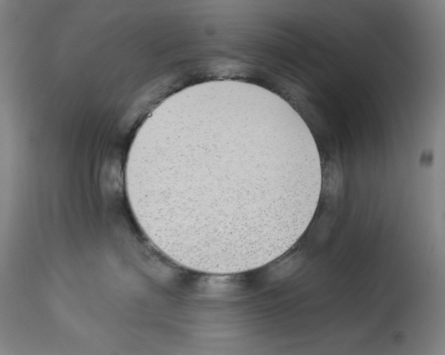 X0000112910622200910051044