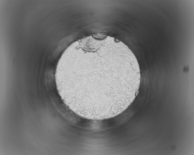 X0000112910623200910051044