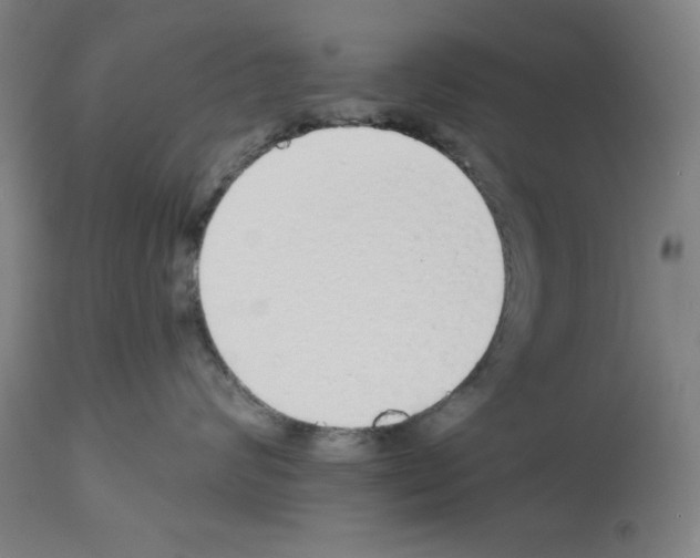 X0000112910624200910051044