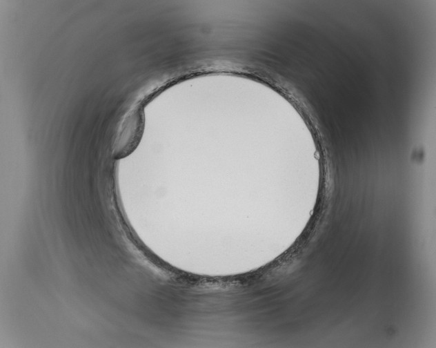 X0000112910625200910051043