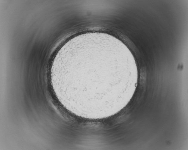 X0000112910626200910051043