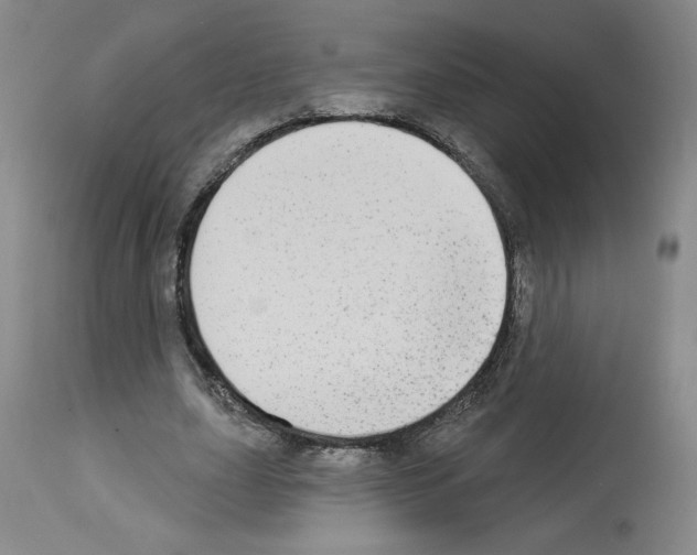 X0000112910631200910051043